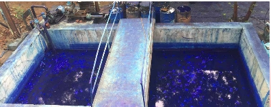 Industrial Project 1